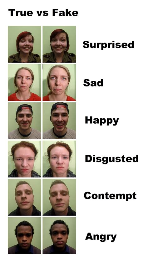 emotions are fake